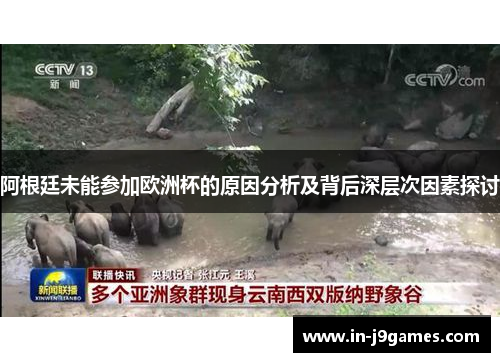 阿根廷未能参加欧洲杯的原因分析及背后深层次因素探讨